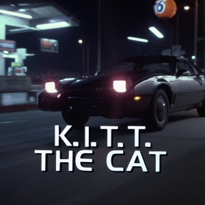 KITT the Cat