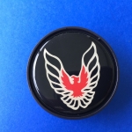 Knight Rider Trans Am Door Panel Emblem Photo 3