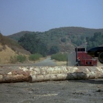 Knight Rider Season 4 - Episode 76 - Out Of The Woods - Photo 177